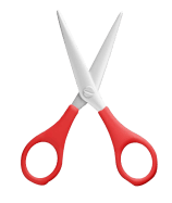 Successful Surgeries